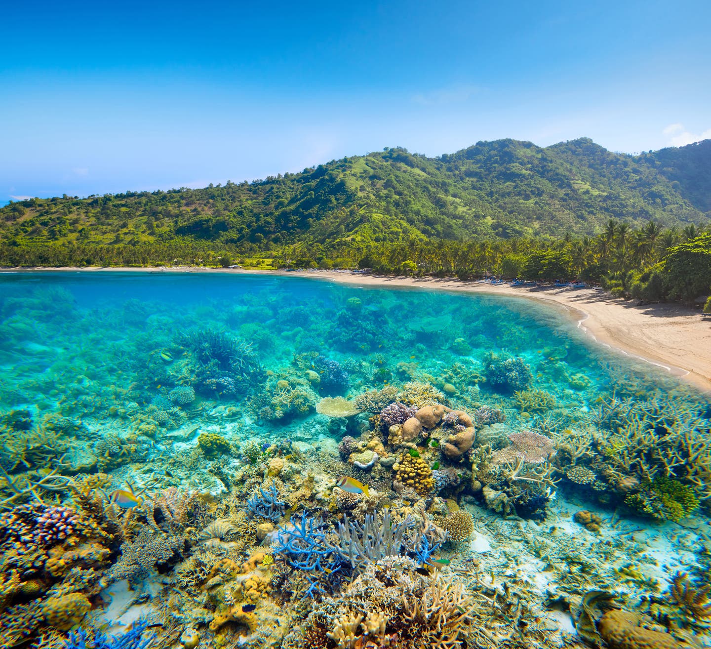 Indonesien Lombok Küste Unterwasser