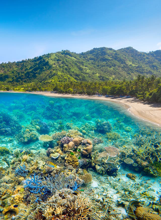 Lombok - die kleine Schwester Balis