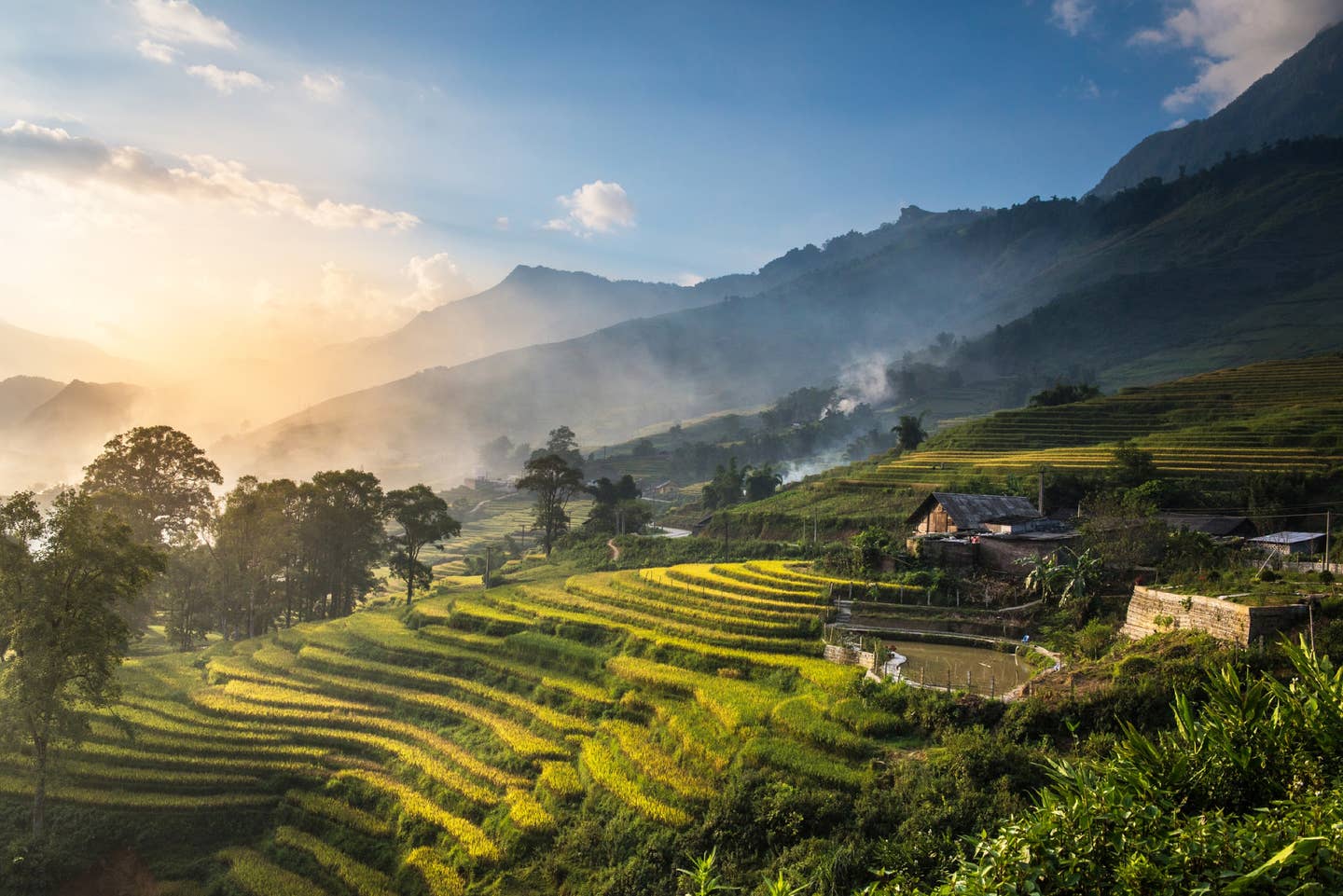 Rundreisen Indonesien: Terrassenfelder in Indonesien