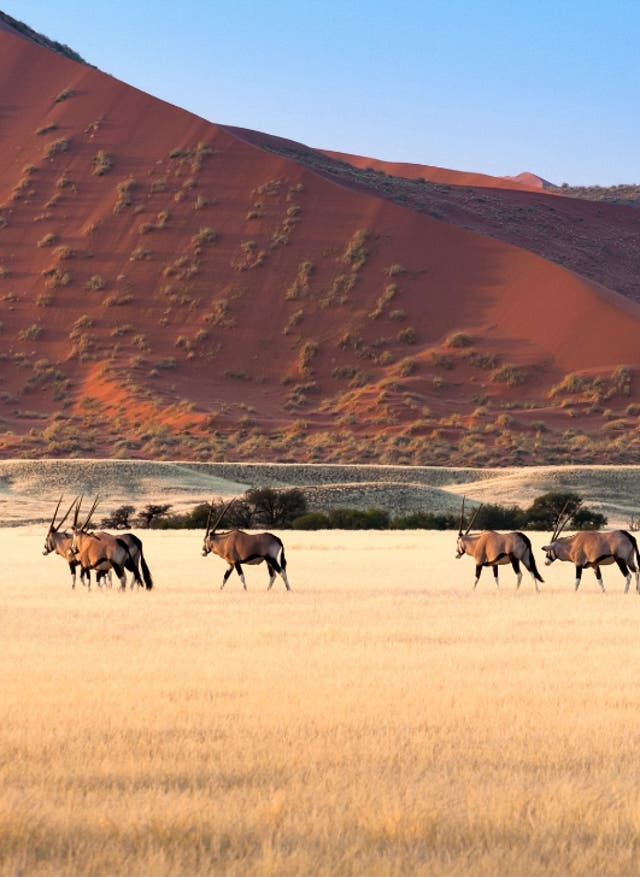 Winterurlaub finden Winterurlaub in Namibia