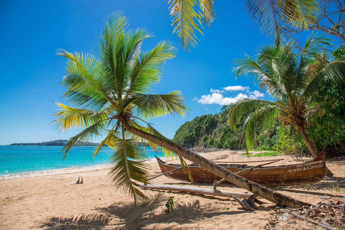 Mauritius Nordküste Strand Palmen