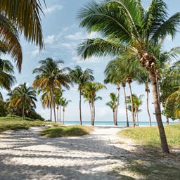 Kuba-Varadero-Weg-zum-Strand-g-1200967223.jpg