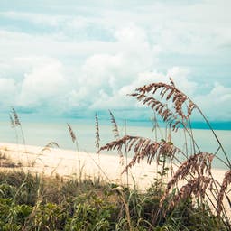 Bonita Springs Hotels