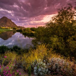 Scottsdale Hotels