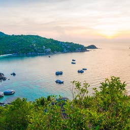 Koh Tao Hotels