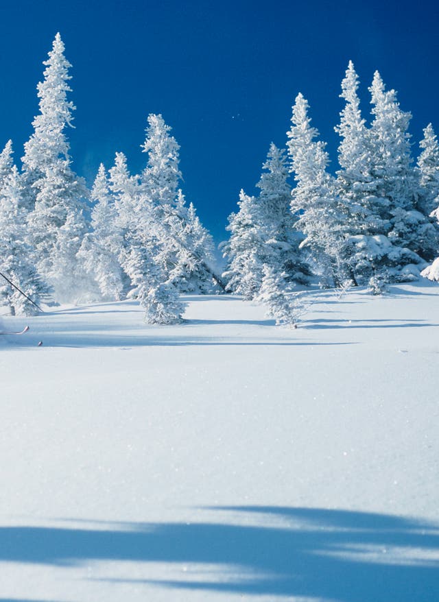 Skifahren in Kanada