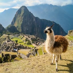 suedamerika-peru-machu-picchu-t-479900992.jpg