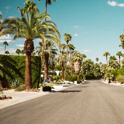Palm Springs Hotels