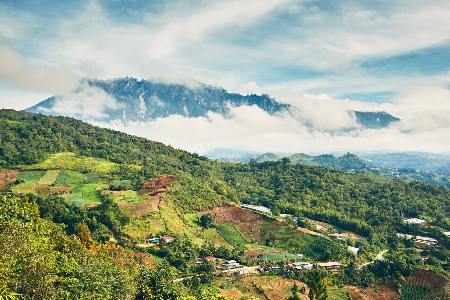 Rundreisen Kuala Lumpur: Landschaft in Borneo nahe Kuala Lumpur