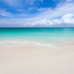 Grand Bahama Hotels