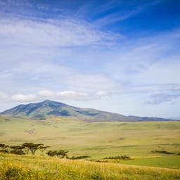 Hotels in Arusha