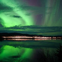 Whitehorse Hotels
