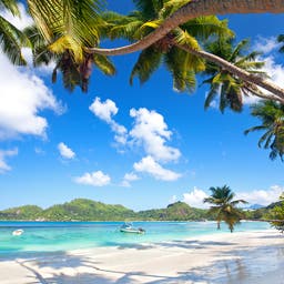 seychellen-mahe-silhouette-island-hotels-t-475903752.jpg