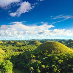 Bohol Hotels