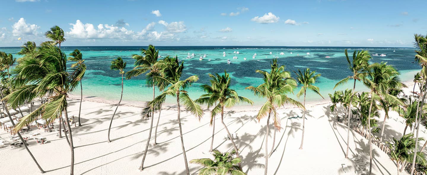 Last Minute Urlaub 2025 - Blick auf einen Strand mit Palmen