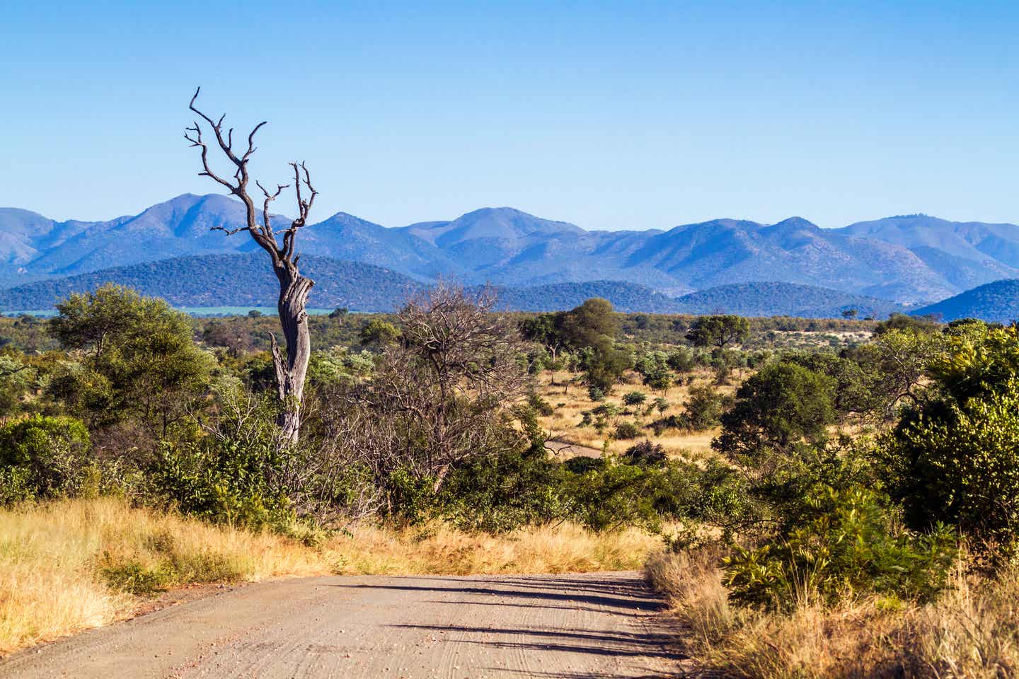 Kruger Nationalpark: Kieslandschaft Kruger Nationalpark: Kieslandschaft