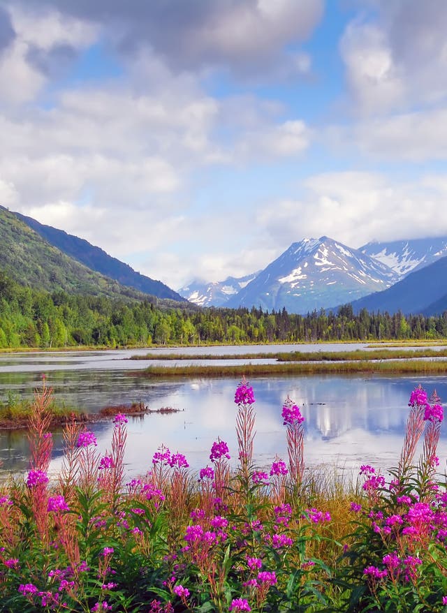 Mitarbeiter-Tipp: Alaska