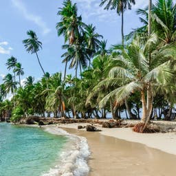 Panama-Strand-in-San-Blas-g-862525012.jpg