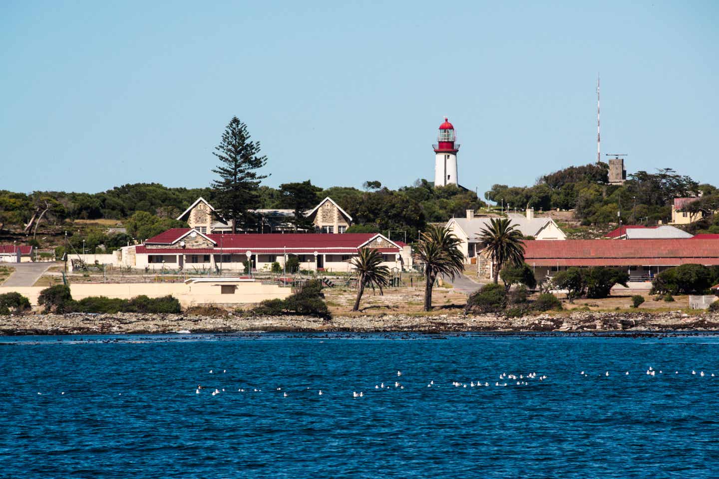 Südafrikas Sehenswürdigkeiten: Robben Island