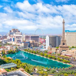Paradise Hotels
