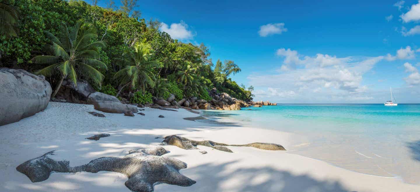 Afrika beste Reisezeit: Strand auf den Seychellen