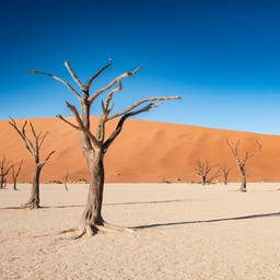 namibia-deadvlei-sossusvlei-g-2062868942.jpg