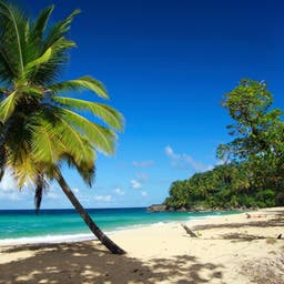 Hotel Playa Grande