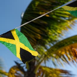 jamaika-kultur-flagge-g-1452113631.jpg