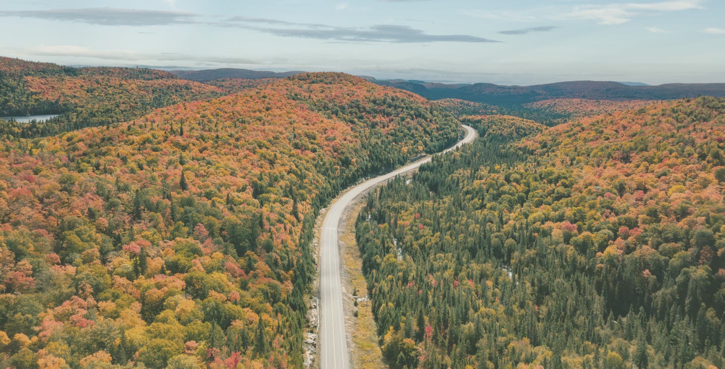 Indian Summer in Kanada: Landstraße durch bunte Baumkronen