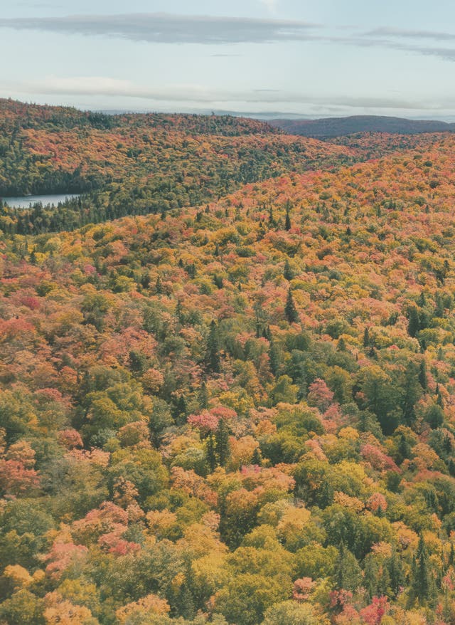 Indian Summer Kanada