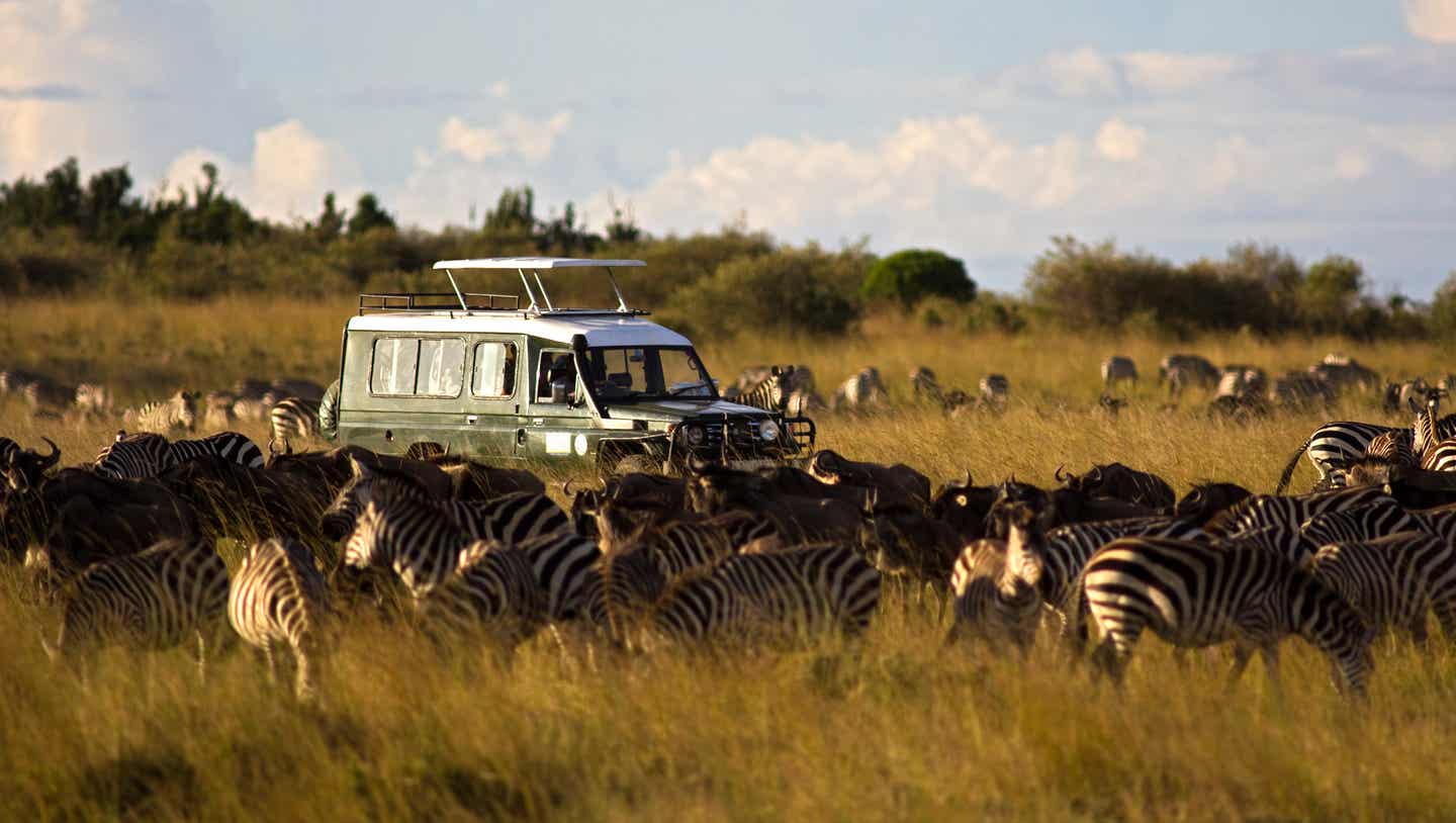 Kenia Sehenswürdigkeiten: Safarifahrzeug umgeben von Zebras und Gnus im der Masai Mara
