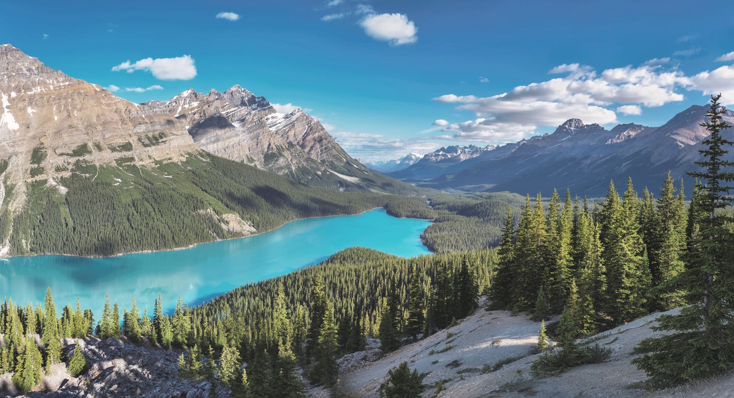 Rocky Mountains und der Peyto Lake