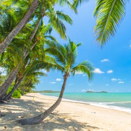 Cairns Hotels