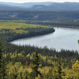 Dawson City Hotels