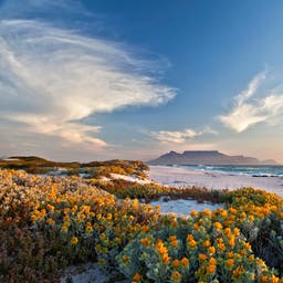 Hotels Western Cape