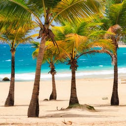Puerto Rico Hotels
