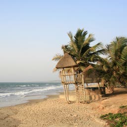 Gambia-Strand-mit-Palmen-g-503087867.jpg