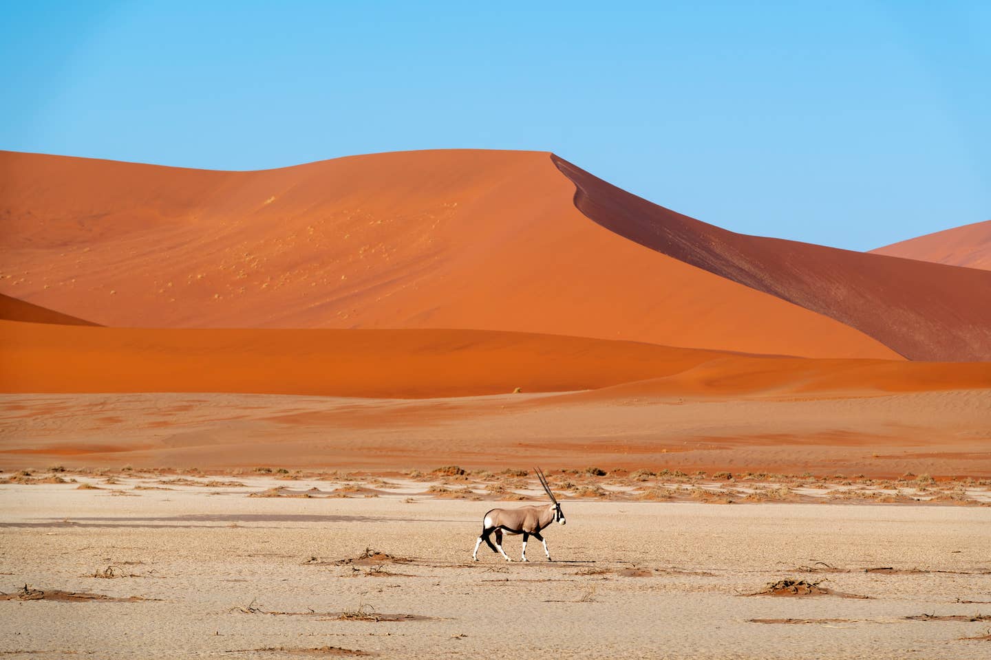 Namibia Urlaub: Sossus-Dünen im Namib-Naukluft-Nationalpark Namibia Urlaub: Sossus-Dünen im Namib-Naukluft-Nationalpark