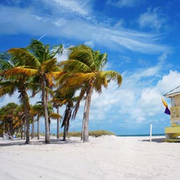 Key Biscayne Hotels