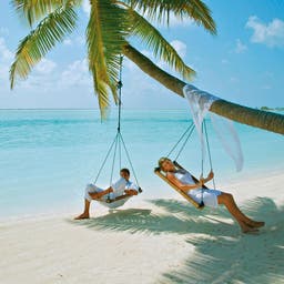 malediven-meeru-island-p-t45316.jpg