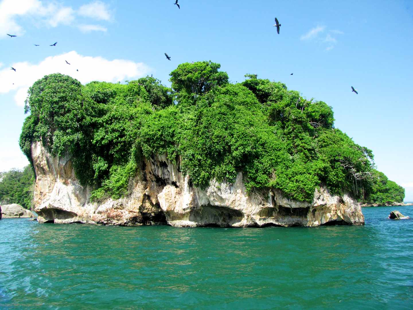 Dominikanische Republik Sehenswürdigkeiten: Insel Los Haitises Nationalpark in Samana