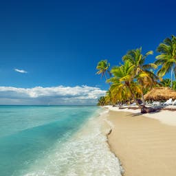 dominikanische-republik-strand-palmen-g-471781838.jpg