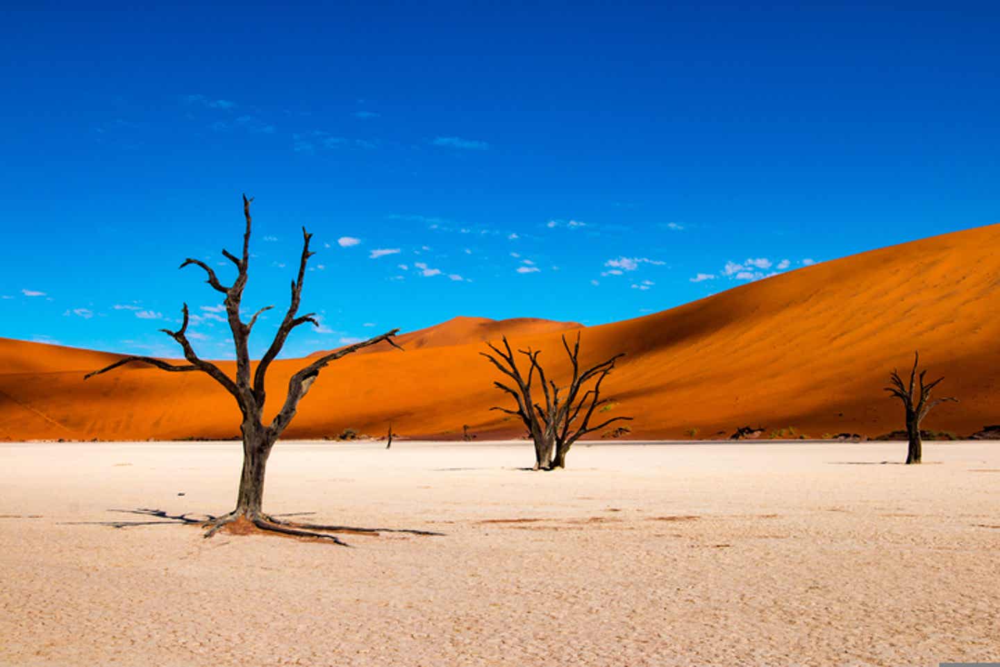 Namibia Urlaub: Sossusvlei