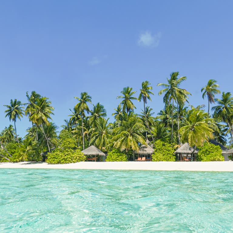 Sansibar Urlaub Vor Afrikas Ostk ste MEIERS WELTREISEN Sansibar Urlaub Vor Afrikas Ostk ste MEIERS WELTREISEN