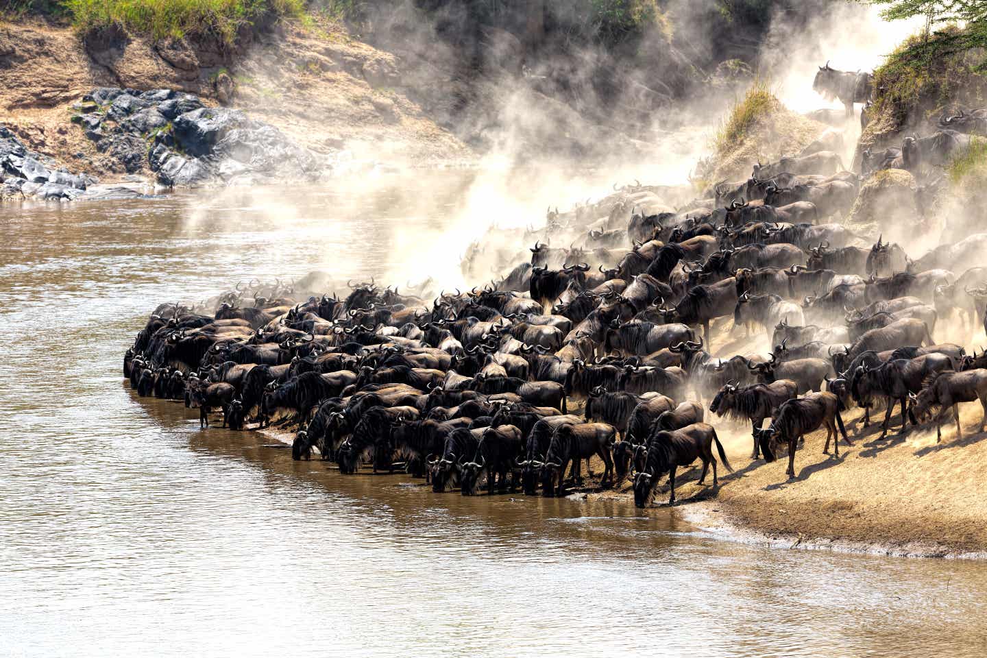 Serengeti Nationalpark: Great Migration