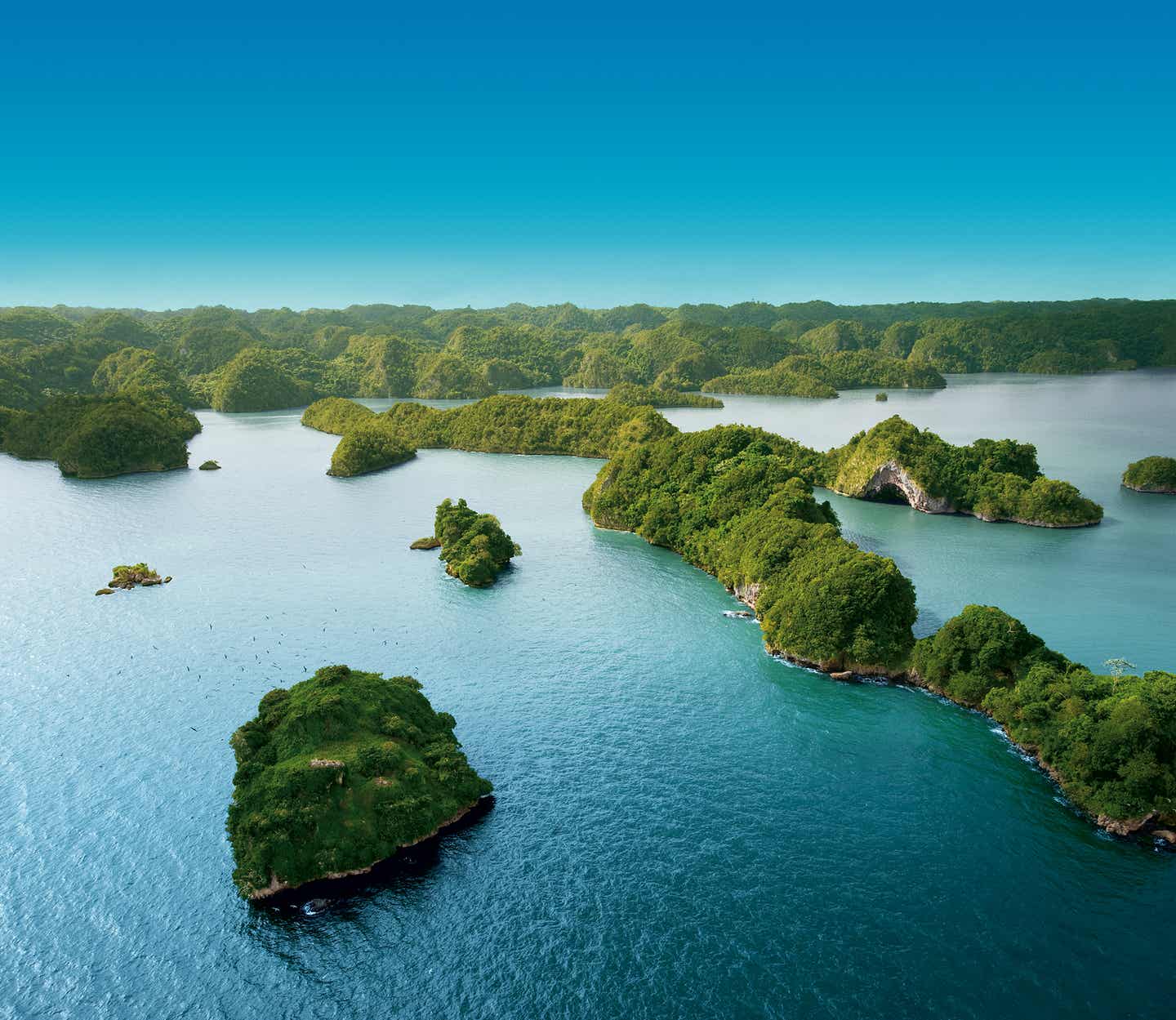 Isla de los Pajaros, Dominikanische Republik
