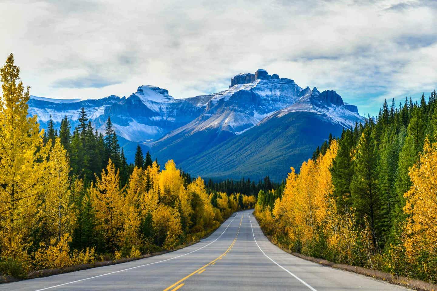 Straße direkt durch die Rocky Mountains