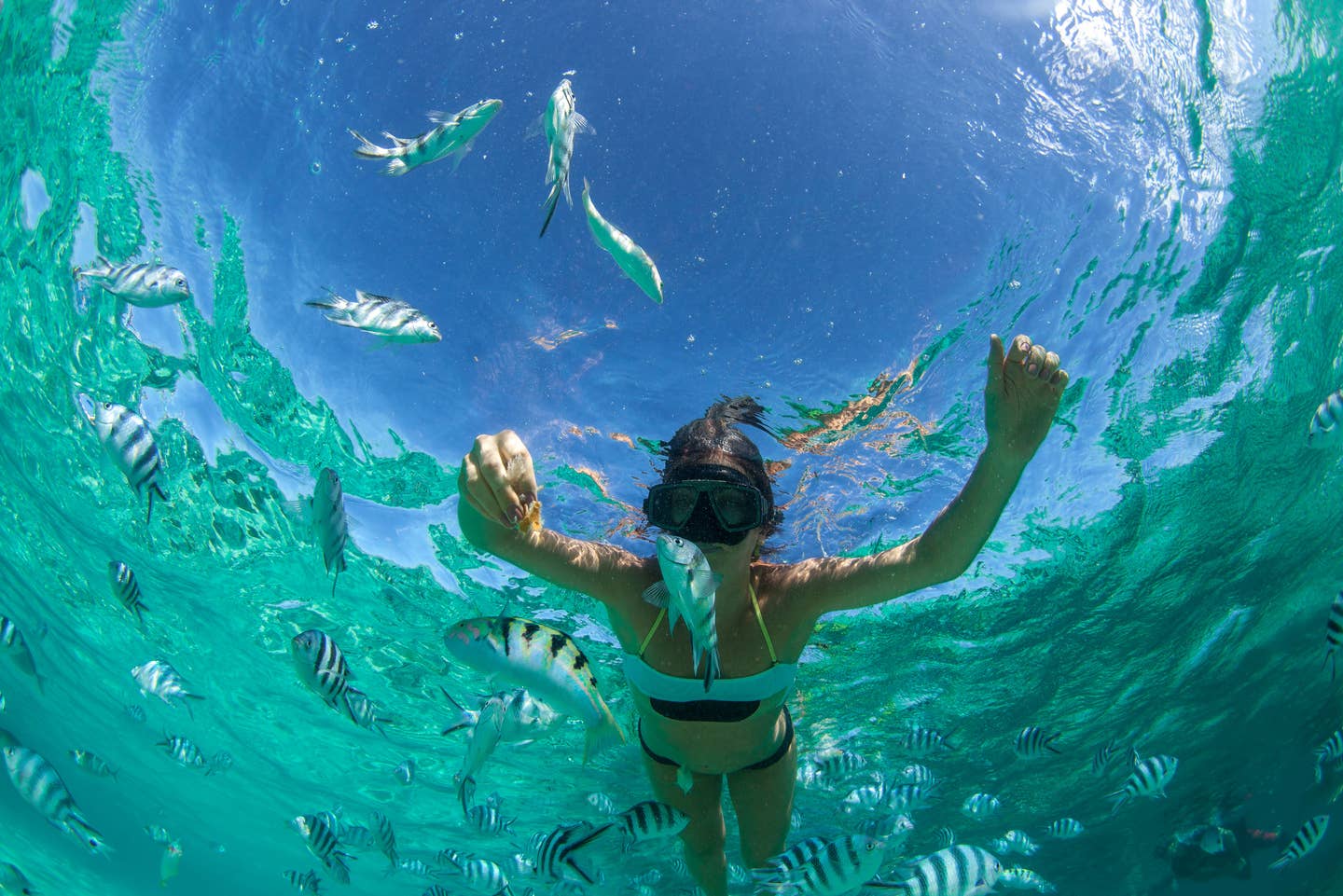 Mauritius Schnorcheln