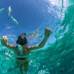 mauritius-schnorcheln-t-507250118.jpg