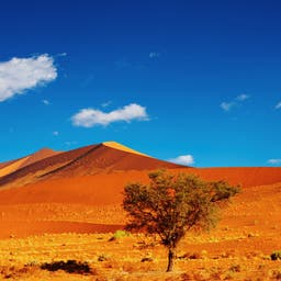 Hotel Namib Naukluft Park